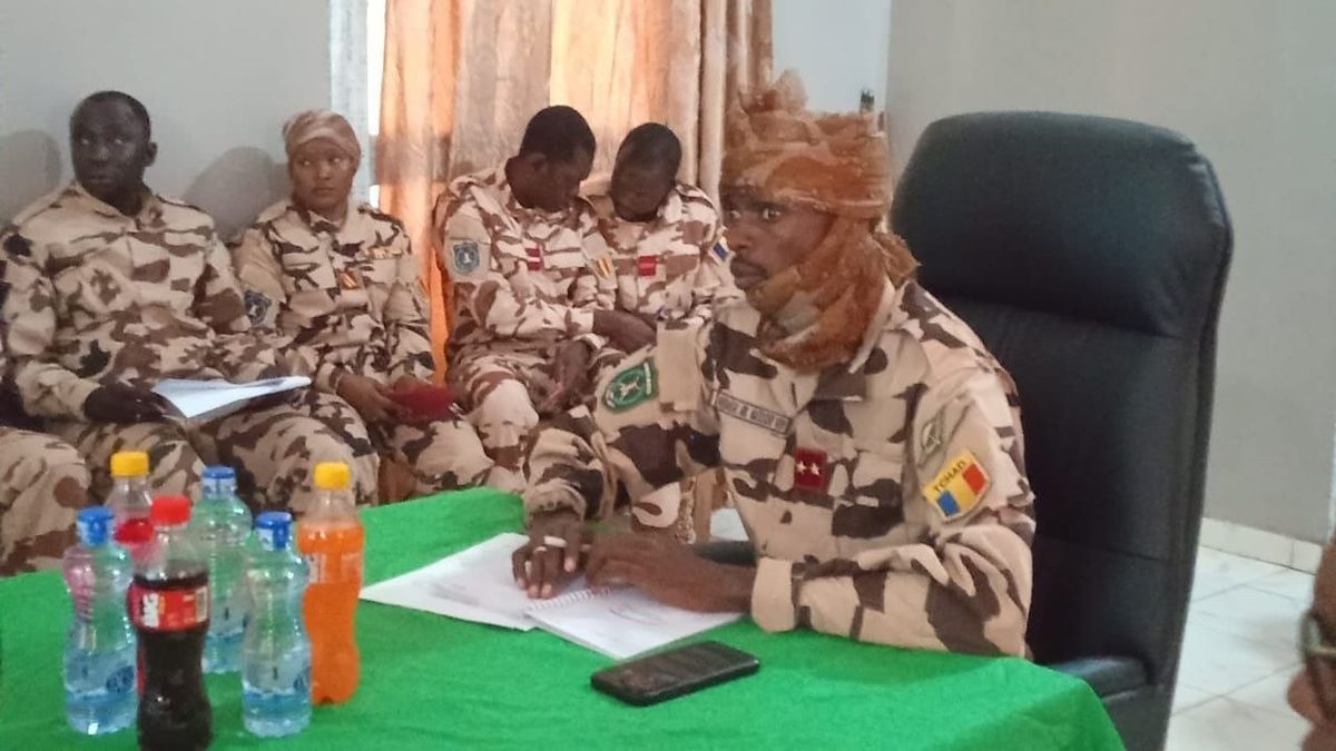 Forces militaires tchadiennes et centrafricaines en opération conjointe