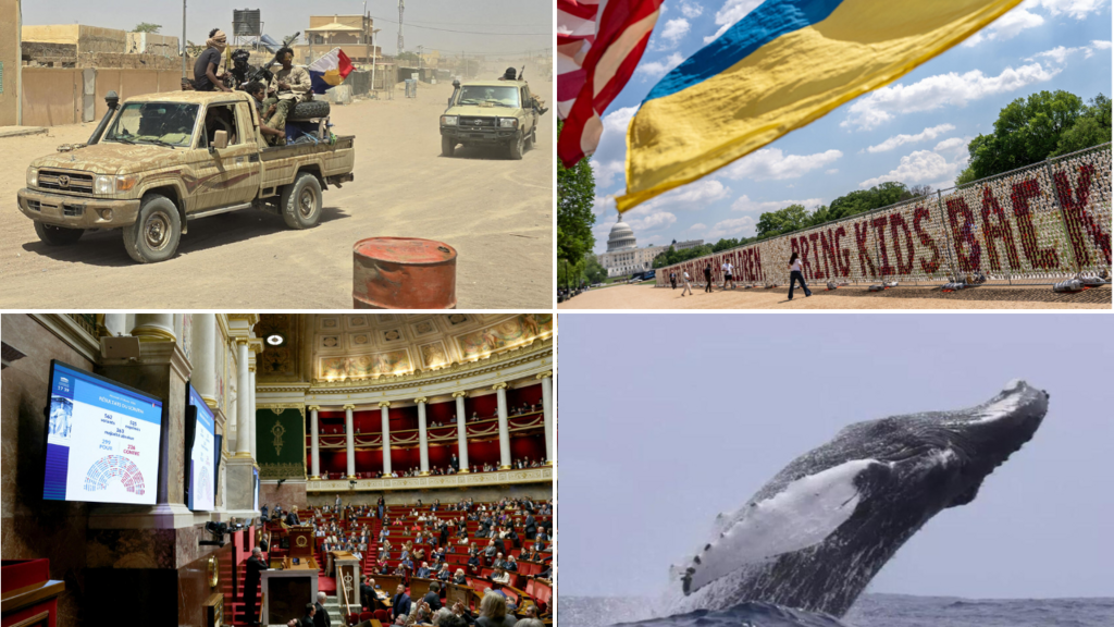 photomontage illustrant les enjeux politiques au Mali