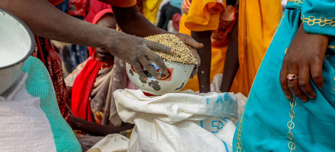 Distribution de sorgho par le PAM à des réfugiés soudanais à Adré, au Tchad.