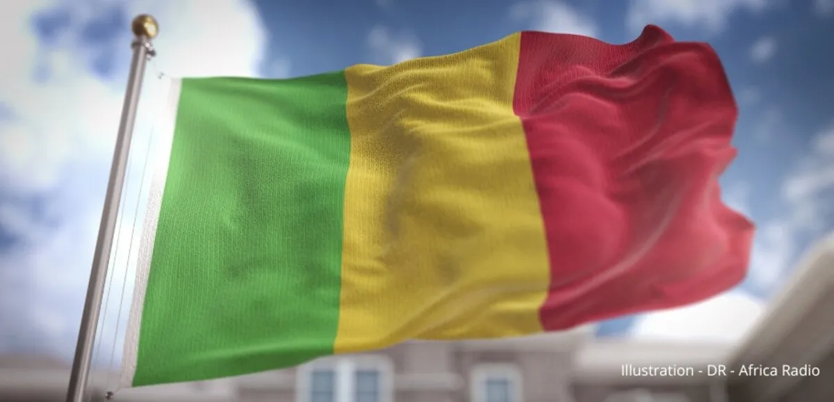 Condamnation d'un agent français au Mali : 20 ans de prison pour atteinte à la sûreté de l'État